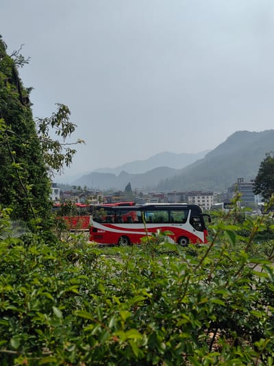 The image displays an urban landscape within Sa Pa, Vietnam, viewed from an elevated perspective through dense foreground foliage. The immediate foreground is dominated by vibrant green leaves and branches from various bushes and a tall, dark green conifer-like tree positioned on the left.
In the midground, a paved area serves as a parking space for multiple large passenger buses. The most prominent vehicle is a red and white tour bus with "GLOBAL" branding visible on its side, bearing Vietnamese license plate "29B-697.91". Another red bus is partially visible behind and to the left of this vehicle. Beyond the buses, a collection of multi-story buildings, characteristic of a town or city, populate the landscape. Visible signage on some structures includes "NHÀ HÀNG SA PA VI" (Sa Pa Restaurant) and "KHÁCH SẠN" (Hotel).
The background features a series of layered, undulating mountains or large hills, heavily covered in forestation, receding into a distant haze. The sky above is a pale, uniform grey, indicative of a hazy or overcast day. No individuals are visible within the scene, and no discernible actions or interactions are occurring among the subjects.