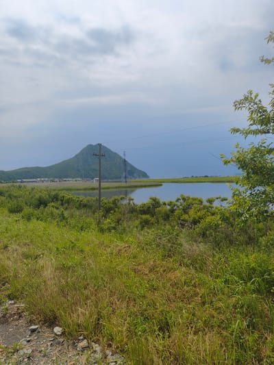 The image depicts a landscape scene featuring a body of water in the foreground, surrounded by lush green vegetation. In the distance, a prominent, tree-covered hill or mountain dominates the horizon. A line of buildings can be seen nestled at the base of the hill. Utility poles and power lines stretch across the scene, indicating human infrastructure. The sky is overcast with gray clouds. The overall setting suggests a natural environment with some signs of human habitation and development. This view is consistent with the landscape found along the coast of Nakhodka, Russia, potentially overlooking a bay or inlet with the distinctive silhouette of a coastal mountain.
