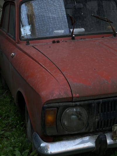 This is a close-up, rotated image of the front passenger side of a dusty, weathered, red vehicle, likely a van or truck, parked outdoors. The vehicle appears aged and neglected, with a patina of dirt and grime covering its red paintwork.
Prominently featured is the vehicle's front headlight, a circular glass unit with visible internal fluting, set within a black housing. To the right of the headlight is an amber-colored turn signal light. A portion of a chrome bumper is visible on the far right. Above the headlight, a black grille is present.
The left side of the image shows a portion of the vehicle's windshield and side window. The windshield has two windshield wipers with metal frames. The side window is textured with a diamond pattern and reflects the surroundings, which include what appears to be a bundle of dry reeds or straw inside the vehicle. A sticker with visible text and the year "2014" is affixed to the inside of the window.
The vehicle is surrounded by green foliage, suggesting it is parked in a natural or overgrown setting. The lighting suggests it might be daytime, but the overcast appearance of the image and the amount of dust on the vehicle do not provide clear cues about the specific time of day or weather conditions, other than suggesting it has been exposed to the elements for some time. No people are visible in the image. The overall impression is one of disuse and the passage of time. The location context provided is Lviv, Ukraine.