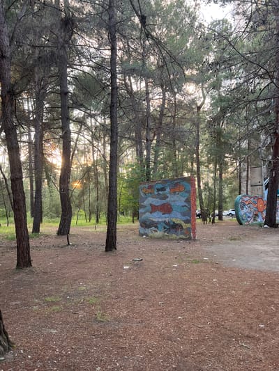The image depicts a wooded area with tall, slender pine trees. The ground is covered with dry pine needles and sparse patches of grass. In the mid-ground, there are two mosaic art installations. The one on the left is a rectangular wall covered in mosaics depicting fish and marine life. The one on the right is a curved structure with a mosaic featuring a large octopus and other sea creatures. Sunlight filters through the trees, creating dappled light. In the background, several cars are parked, and a light-colored building with a staircase is visible behind the mosaic art. The overall scene suggests an outdoor recreational or art installation area within a pine forest.