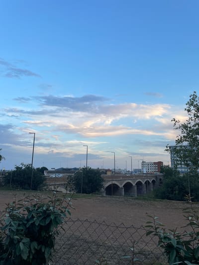 The image depicts a view of the Estació de Sagunt, also known as the Sagunto train station, in Sagunto, Spain. In the foreground, a chain-link fence runs horizontally, with a cluster of dark green leafy branches in the lower left corner. Behind the fence, a dirt field stretches towards a line of trees and shrubs that partially obscure a stone arched bridge. The bridge, likely part of the railway infrastructure, has multiple arches, some showing graffiti. Beyond the bridge, streetlights are visible, along with a road where a white car is driving. Further in the background, several buildings can be seen, including a multi-story building with a white facade and rows of windows. The sky above is a gradient of light blue, with scattered white and pinkish clouds, suggesting either early morning or late afternoon light. The overall scene is that of an urban environment with natural elements, likely captured from a vantage point overlooking the train station and its surrounding area.