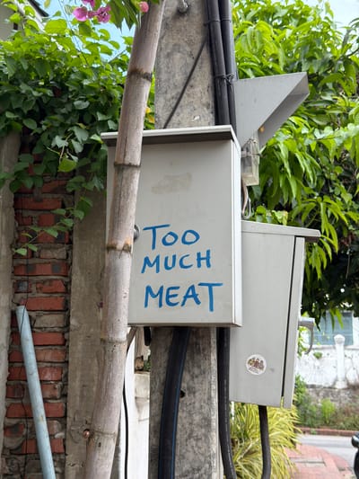 A power box on a concrete utility pole in Choumkhong, Laos, has the words "TOO MUCH MEAT" written in blue marker on its front. A bamboo stalk is positioned in front of the power box, obscuring part of the writing. The power box itself is light gray and has a metal handle on the right side. A smaller, similar box is attached to the right of the main box. A circular sticker with a picture of three people is affixed to the right box. The utility pole is also laden with black electrical conduits. Surrounding the pole and power box is lush green foliage and a brick wall. A light blue pipe runs vertically on the left side of the image. In the background, there are trees and buildings, suggesting an urban or semi-urban environment.