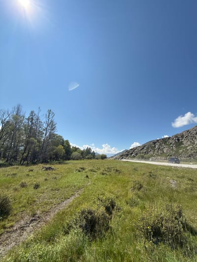 The image depicts a scenic landscape with a clear blue sky and a bright sun in the upper left corner, casting a lens flare. A wispy cloud is visible in the sky. The foreground is dominated by a lush green meadow with patches of yellow wildflowers and a dirt path winding through it. To the left, a cluster of trees stands, some of which appear bare. In the mid-ground, a road runs alongside a rocky mountain on the right. A dark-colored van is seen driving on the road, kicking up a dust trail. The environment suggests a rural or mountainous location, possibly in Bichiktu-Boom, Russia, given the context provided. The overall scene conveys a sense of open space and natural beauty.