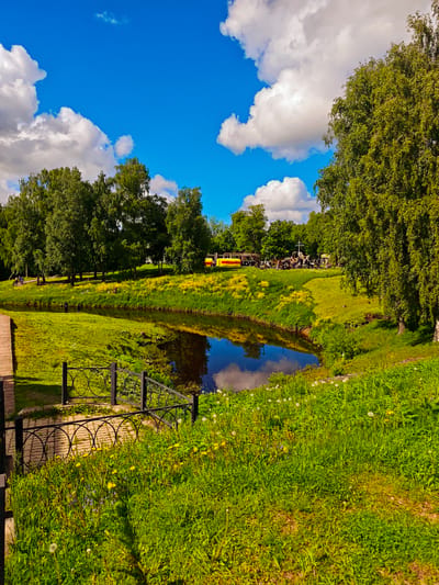 The image depicts a tranquil park setting in Dmitrov, Russia. A narrow, dark pond reflects the bright blue sky dotted with fluffy white clouds. The pond is surrounded by lush green grass and trees. A yellow and red train sits on a grassy bank in the distance, with people gathered around. A black iron railing and a wooden structure are in the foreground, providing a pathway and a view of the scene. Dandelions and other wildflowers dot the green landscape. The overall scene is bright and peaceful, showcasing a summer day in a Russian park.