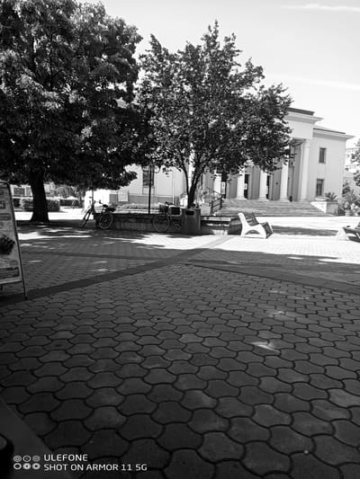 This black and white image depicts a public square or plaza in the city of Karnobat, Bulgaria. The scene is devoid of people and captured under bright daylight conditions, evident from the distinct shadows cast across the paved ground.

In the foreground, the ground is covered with dark gray, interlocking concrete pavers arranged in a repeating, somewhat hexagonal or peanut-shaped pattern. Darker, straight lines, possibly drainage channels or decorative elements, traverse the paving. To the far left, a partially visible A-frame sign with Bulgarian text and product imagery (including a visible "MILKA" branding and "FRUIT SORBET" text) stands on the pavement, casting a diagonal shadow.

The midground features two parked bicycles near a low stone wall on the left, beneath the canopy of a large, dense tree. One bicycle leans against a tree or stand, and the other against the wall. Towards the center-right, a prominent white public bench with dark slats faces a large, multi-columned building in the background. Another partially visible bench is to its right. A second, smaller tree is located closer to the center, also casting shadows. Two dark cylindrical trash receptacles are positioned to the left of the building's main entrance; one is clearly labeled "ОБЩИНА КАРНОБАТ" (Municipality of Karnobat) and "РАЗДЕЛНО СЪБИРАНЕ НА ОТПАДЪЦИ" (Separate waste collection), confirming the location.

The background is dominated by a grand, multi-story building with a classical architectural style. It features a prominent facade with multiple white columns, a large central staircase leading to the main entrance, and multiple windows. The roofline has decorative elements. The sky above is clear and bright, with a faint wisp of cloud visible. The image bears a watermark indicating it was "SHOT ON ARMOR 11 5G."