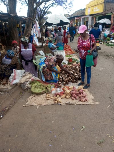 This image depicts an active outdoor market scene in Tala ward, Kenya, observed from a slightly elevated perspective.

In the foreground, a dusty concrete or dirt ground is visible, strewn with a few purple petals and scattered debris. On the right, a customer, a woman in a pink baseball cap, a patterned red and white short-sleeved top, blue jeans, and dark flat shoes, stands holding a white smartphone in her right hand and a crumpled green plastic bag in her left. To her left, an arrangement of produce is laid out on a piece of burlap on the ground, consisting primarily of light-skinned and reddish-purple sweet potatoes. Adjacent to these, closer to the left, are several plastic bottles and a green mesh bag containing leafy greens.

In the midground, to the left of the sweet potatoes, another woman, likely a vendor, is partially visible squatting, wearing a blue and yellow patterned dress and a head covering, extending her right hand towards a large pile of various dark, earthy root vegetables, possibly yams or taro, stacked on the ground. A light green plastic chair is positioned near her. Behind her and to her left, two more women are present. One stands wearing a purple and white striped apron over a red top with a white head covering. Another, partially obscured, is seated or squatting. Sacks of produce and other market items are piled around them under the shade of a large tree with sparse foliage and visible purple flowers, suggesting a Jacaranda tree.

Further into the midground and background, the market extends along a dirt road. A large white umbrella provides shade for another vendor, who is seated behind piles of red tomatoes and green limes. Several individuals are seen walking or standing, engaging in market activities. On the right, a yellow building with partially visible text "SUN SUN..." and other smaller commercial buildings line the street. Another smaller white umbrella is visible further down the road, and a brown motorcycle with a visible license plate is parked on the right. The sky overhead appears overcast.
