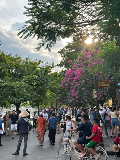 The image shows a street scene in Hội An, Vietnam, with a large gathering of people, some on bicycles and others walking. The sun is low in the sky, suggesting either early morning or late afternoon, and there are clouds visible. Lush green trees and vibrant pink flowers frame the scene, with one tree prominently featuring delicate, feathery leaves.

A signpost stands out with Vietnamese text, reading "ĐƯỜNG CHÂU THƯỢNG VĂN" (Chau Thuong Van Street). The people are dressed in a variety of casual clothing, with some wearing hats, including traditional conical hats. Many are looking in the same direction, suggesting they are part of a procession or event. One bicycle has the brand name "THONGNHAT" visible on its frame. The overall atmosphere appears lively and communal, with a sense of casual activity and perhaps tourism. The lighting creates some lens flare, adding to the warm, natural feel of the scene. The people's postures and gazes indicate engagement with something happening off-camera.