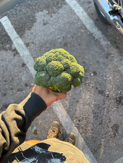 A person holds a large head of broccoli in their right hand, which is visible from the wrist down, wearing a dark grey sweatshirt. The broccoli is bright green and appears fresh. The background is a grey asphalt surface with some white markings, possibly a parking lot. A portion of a shiny, chrome object, likely part of a vehicle or bicycle, is visible in the upper left corner. In the lower right, a person's legs and feet are visible, wearing dark shoes. The sun is casting long shadows, suggesting it is late afternoon or early morning. The setting appears to be outdoors. There is no visible text in the image.