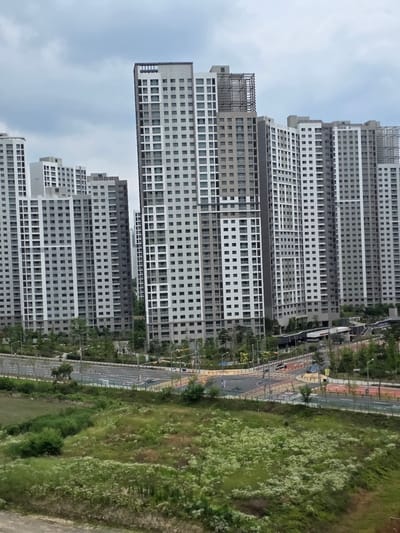This image depicts a modern apartment complex in Daejeon, South Korea. The complex consists of numerous high-rise buildings with a predominantly gray and white color scheme, featuring many windows. The buildings are arranged in a dense urban landscape, with some showing exposed structural frameworks, suggesting ongoing construction or architectural design elements. In the foreground, there is a patch of overgrown green fields with sparse white flowers, bordering a street with crosswalks and traffic lights. Several vehicles are visible on the road, indicating moderate traffic. Streetlights and trees line the street and the perimeter of the apartment complex. The sky is overcast with gray clouds.