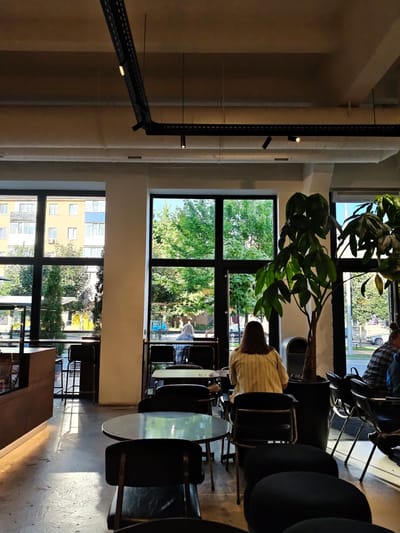 This is a candid, medium-shot, eye-level photograph taken inside a modern, sunlit cafe in Vinnytsia, Ukraine. The scene is viewed from behind patrons seated at tables. Sunlight streams through large windows, casting strong shadows across the polished concrete floor.
The main subjects are two women, their backs to the camera, enjoying a moment of quiet in the cafe. One woman, in the foreground, is seated at a round table, wearing a light-colored, striped blouse. Another woman is seated further back, near a large indoor plant. She wears a blue and white checkered shirt.
The cafe features minimalist furniture with black chairs and tables, and a prominent large potted plant with dark green leaves. Industrial-style lighting fixtures are visible on the ceiling. Through the windows, a street scene is visible with trees, buildings, and a few cars, suggesting a daytime setting, likely late morning or afternoon, with clear weather. The overall mood is relaxed and contemporary. No visible text is present in the image.