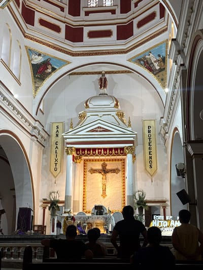 The image depicts the interior of a Catholic church in Timaná, Colombia. The scene is oriented towards the main altar, which is the focal point.

The elevated altar features a large, back-lit golden crucifix mounted on a light-colored marble or stone panel framed by a decorative gold border. Above the crucifix is an ornate white and gold altarpiece, constructed with columns and a pediment, topped with a standing statue of a robed male figure. Two vertical banners hang flanking the altar; the left banner reads "SAN CALIXTO" in black letters on a cream background, and the right banner reads "PROTÉGENOS" (Spanish for "Protect Us") in identical styling. On either side of the altar are white fluted columns, with green floral arrangements placed near their bases. The altar table below the crucifix is adorned with purple fabric drapes and various religious objects. To the far left, a wooden lectern draped in purple fabric is visible.

The dome above the altar is decorated with red and white geometric patterns accented with gold trim. Triangular frescoes in the spandrels depict religious scenes, including an angel interacting with a figure on a mound and several figures engaged in construction. Arches throughout the church structure are painted white with red and gold trim.

In the foreground, several individuals are seated in dark wooden pews, viewed from behind, facing the altar. Their faces are obscured. The interior is illuminated by ambient light, with the crucifix area notably brighter. The overall environment appears solemn and well-maintained.