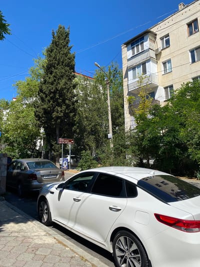 The image depicts a street scene in Sevastopol, Ukraine, under a clear blue sky. In the foreground, the rear of a white sedan is visible, parked parallel to the curb. To the left, a silver sedan is also parked. Behind the vehicles, a multi-story apartment building with a light-colored facade and balconies can be seen. Lush green trees and foliage line the street and surround the building, providing shade. A tall, slender evergreen tree stands prominently in the middle ground. A directional signpost with Russian text is mounted on a pole, indicating directions to a mosque. Electrical wires are strung across the sky, and a lamppost is visible to the left of the building. The overall impression is a quiet urban street on a sunny day.
