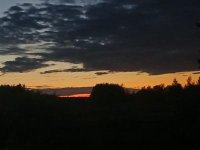 A twilight scene captures the sky above a dark silhouette of trees and vegetation, likely in or around Shestunikha, Russia. The sky is divided horizontally, with a band of bright orange and yellow near the horizon, transitioning to darker, moody gray and black clouds that stretch across the upper portion of the frame. The dense foliage below is rendered in deep shadow, obscuring any specific details of the landscape or structures. No people or discernible activity are visible.