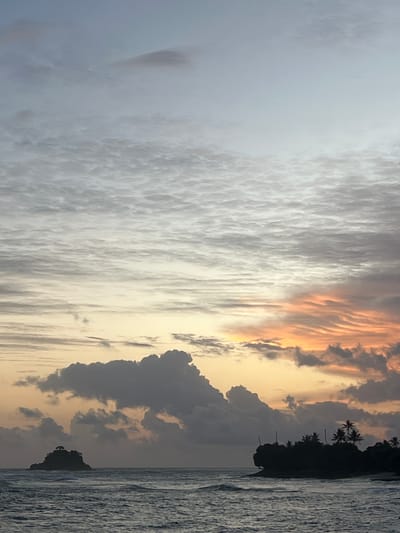 This is a vertical, wide-angle photograph capturing a dramatic sunset over the ocean in Midigama, Sri Lanka. The sky dominates the frame, transitioning from a hazy, light gray on the left to vibrant hues of orange and yellow as it meets the horizon on the right. Wispy, textured clouds stretch across the sky, some appearing almost like brushstrokes. Darker, heavier clouds are visible towards the right, silhouetted against the brighter sky.

On the far right of the image, a dark silhouette of land juts into the ocean, adorned with the distinctive shapes of palm trees. The ocean itself is a textured expanse of gray, with waves creating a rippled surface. The overall scene evokes a sense of tranquility and the awe-inspiring beauty of nature. The time of day is clearly sunset, given the colors in the sky. The weather appears to be partly cloudy, contributing to the dramatic visual display. The location cues, specifically the palm trees and coastal landscape, strongly suggest a tropical setting. No text is visible in the image.