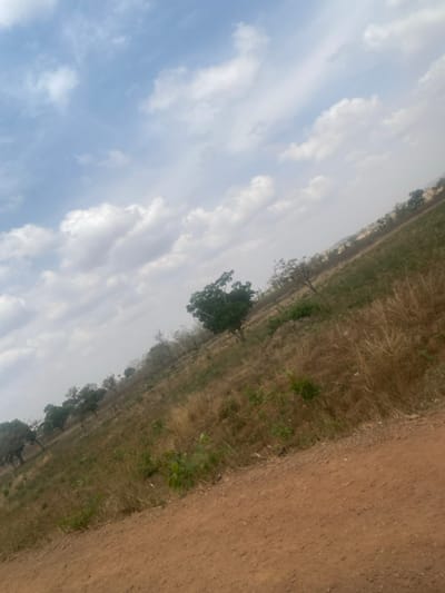 The image depicts a rural landscape under a partially cloudy sky, presumably in Ninzo West, Nigeria. The scene is dominated by a sloping field, angled diagonally upwards from left to right. The foreground features a reddish-brown dirt path or road occupying the bottom portion of the frame. Immediately adjacent to the path, the ground transitions to dry, brownish grasses intermingled with patches of greener vegetation and sparse green shrubbery. Further into the midground and background, numerous trees are scattered across the slope. These trees vary in foliage, with some exhibiting dense green canopies and others appearing sparser or leafless, indicating different species or seasonal states. The sky above is light blue with scattered white cumulus clouds of various sizes and densities. No individuals, animals, structures, or vehicles are visible. The overall environment suggests an undeveloped or agricultural area.
