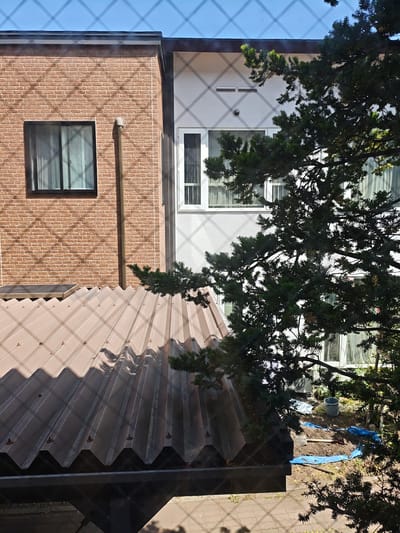 The image depicts the exterior of two adjacent buildings, viewed from an elevated perspective, possibly a window or balcony, with a foreground of dark metal roofing and fencing creating a diamond pattern overlay.
The building on the left has a brick facade with a horizontally positioned dark-framed window. A vertical downspout runs along the brick wall. The roof in the foreground is made of corrugated metal, appearing weathered and possibly aged. Shadows from trees are cast across the roof.
The building on the right features a white exterior wall with multiple windows. Some windows have white frames and sheer curtains visible. An air conditioning unit is mounted on the exterior wall. The area behind this building appears to be a yard with blue tarps laid out on the ground, soil, a shovel, and a bucket, suggesting some outdoor work or landscaping is taking place. A dense evergreen tree partially obscures the view of the buildings. The sky above is clear blue.
Based on the architectural style, building materials, and the presence of Japanese writing that would be expected in the context of Sapporo, this scene is likely located in Sapporo, Japan.