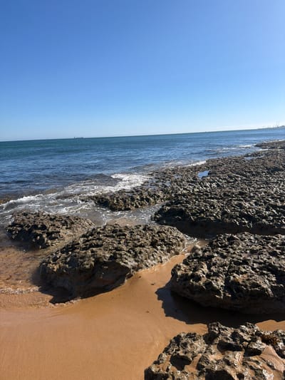 The image shows a rocky coastline at Cascais, Portugal, under a clear blue sky, suggesting a sunny day. The tide appears to be low, revealing a stretch of wet sand and dark, porous rocks formations. The sea, a deep blue, gently laps against the shore, with small waves creating a foamy white edge as they meet the rocks and sand. In the distance, the horizon is clear, with what might be ships or structures visible, hinting at maritime activity. The scene is tranquil and natural, capturing the essence of a coastal landscape. The lighting suggests it is daytime, likely late morning or early afternoon, given the angle of the sunlight casting shadows on the sand and highlighting the textures of the rocks. There is no visible text in the image. The overall impression is one of a serene, natural environment at the seaside.