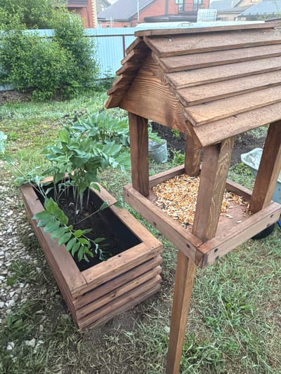 The image, taken in Большая Шильна, Russia, depicts a wooden bird feeder with an integrated planter, set outdoors in a garden or backyard environment. The main subject is a rustic, dark-stained wooden bird feeder featuring a prominent peaked roof constructed from horizontal planks. Beneath the roof, the open feeding tray is visible and filled with a substantial quantity of mixed birdseed, comprising various small grains and lighter-colored seeds.
The bird feeder stands on a sturdy wooden base, which incorporates a square wooden planter box at ground level. This planter is filled with dark soil and contains several green leafy plants, possibly a type of Solomon's Seal or similar foliage. The wooden components of both the feeder and the planter share the same dark, rich stain.
The ground surrounding the structure is a mix of green grass, patches of bare earth, and scattered light-colored gravel. In the background, beyond the immediate garden space, parts of residential buildings with roofs and walls are discernible, hinting at a suburban or rural setting. A clear glass jar lies on its side on the ground near the base of the feeder stand.
The scene appears to be captured during the daytime, under soft, diffused lighting, suggesting either an overcast sky or late afternoon. No people are present, and no specific activity is depicted other than the setup of the bird feeder and the growth of the plants. There is no visible text in the image.