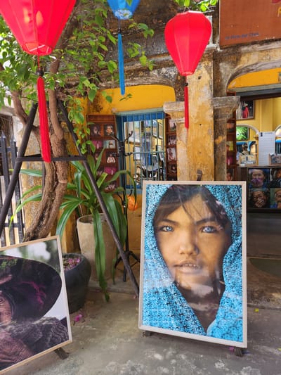 This image captures a street view in Hội An, Vietnam, likely near a shop or gallery. Dominating the foreground are two framed photographs displayed on easels. The larger, more prominent photo on the right features a close-up portrait of a young person with striking blue eyes, their face partially covered by a vibrant blue patterned cloth. To the left, a second, partially visible framed photograph shows the upper portion of a person's face, wearing a dark hat and a textured scarf.

In the background, a weathered, yellow-painted building with arched openings is visible. Red and blue paper lanterns hang from tree branches, adding a festive touch. The building's facade is adorned with numerous smaller framed photographs displayed on shelves or within niches, depicting portraits of various individuals. A large potted plant with long green leaves stands near the center. The ground is concrete, with some fallen pink petals scattered around. The overall scene suggests a marketplace or a cultural hub in Hội An, known for its preserved ancient town.