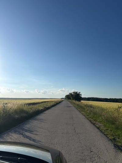 The image captures a linear perspective of a paved road stretching into the distance, flanked by fields of dry, golden grain. A line of trees is visible on the right side of the road, and a darker patch of forest borders the horizon. The sky above is a clear, bright blue with a few wispy white clouds on the left side, illuminated by the sun. The lower portion of the image shows the hood and windshield of a vehicle, suggesting the photo was taken from inside or directly behind a car. The scene is consistent with a rural setting.