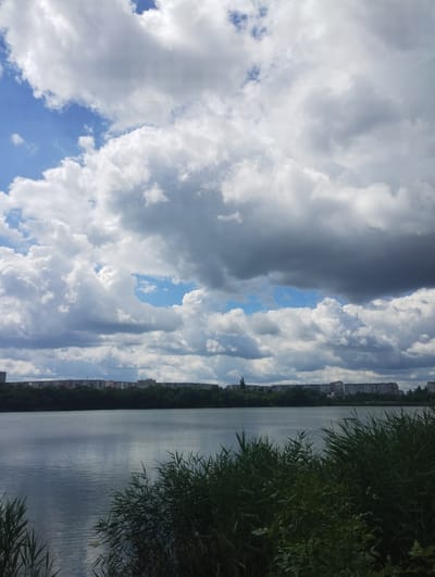 The image depicts a wide shot of a lake in Sumy, Ukraine, on a cloudy day. The foreground is dominated by tall, dark green reeds and other vegetation that partially obscures the view of the water. The lake itself is a calm, blue-grey expanse, reflecting the sky. Across the lake, a dense line of trees forms a dark green band, behind which a cityscape of apartment buildings and other structures is visible. The sky above is a dramatic mix of bright blue patches and large, billowing white and grey clouds. The overall impression is one of a somewhat overcast but scenic day by the water in an urban environment. There are no people or animals visible in the image.