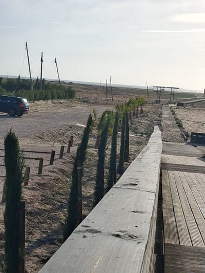The image shows a landscape in Figueira da Foz, Portugal. A wooden boardwalk is visible on the right side. Below, a dirt road runs through the landscape, lined with small trees and utility poles. A dark-colored car is parked on the road. The background reveals a flat, open area with a horizon under a bright, overcast sky.