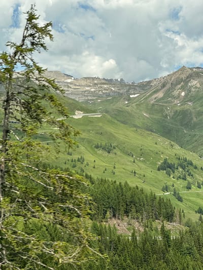 The image depicts a scenic mountain landscape with lush green slopes, coniferous forests, and rugged, rocky peaks. A winding road is visible traversing the mountainside. The sky is partly cloudy, with dramatic formations of white and grey clouds against a pale blue background. In the foreground, a blurred evergreen tree with branches prominent in the frame partially obscures the view of the mountains. The scene appears to be taken from a moving vehicle, given the blur of the foreground tree. The location is identified as being near Heiligenblut am Großglockner, Austria, a region known for its alpine scenery. There are no people or specific actions depicted. The environment is natural and mountainous, characterized by verdant terrain, scattered trees, and exposed rock faces, with patches of snow visible on the higher elevations.