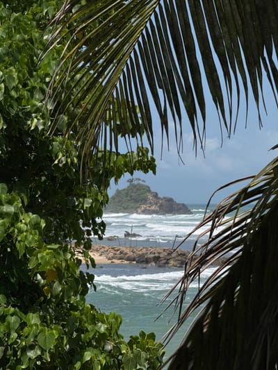 This is a photograph taken from a vantage point within foliage, looking out towards a coastal scene. In the foreground, lush green leaves of a tree are visible on the left, and the long, thin fronds of a palm tree frame the right side of the image, partially obscuring the view.
Beyond the foliage, the turquoise ocean stretches out, with white waves crashing against the shore and surrounding rocky outcrops. A small, tree-covered island or large rock formation rises from the sea in the distance. In the midground, a stone jetty or breakwater is visible, with several wooden poles emerging from the water near it, possibly part of a traditional fishing setup. The sky is a bright blue with some scattered clouds. The overall impression is a tropical, seaside landscape. The location is specified as Goviyapana, Sri Lanka.