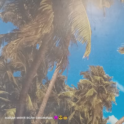 The image displays a mural or wallpaper featuring a tropical scene with palm trees against a bright blue sky. Some clouds are visible in the sky. In the lower part of the image, there is text in Russian that translates to "find me if you can" followed by three emojis: a devil face, a smiling face with sunglasses, and a cowboy hat face. The image does not contain any identifiable landmarks or features that would indicate its location within the city of Pskov, Russia.