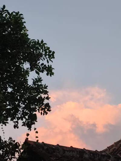 The image depicts a twilight scene in Pacet, Indonesia. A tree with dark green leaves is positioned on the left side of the frame. The right side of the frame features a pale blue sky above, transitioning into pink and orange-tinged clouds near the lower portion of the image. A portion of a tiled roof is visible at the bottom. The roof appears aged and weathered. Vines are hanging down from the tree.