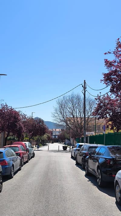The image depicts a street in Ripollet, Spain, lined with parked cars on both sides. The road stretches into the distance, framed by trees with reddish-purple leaves on the left and a bare tree and trees with reddish-purple leaves on the right. Power lines run across the street. A green fence is visible on the right side. In the distance, mountains and buildings are visible under a clear blue sky. There are black posts and a large black planter in the middle of the street in the distance. A sign for the Municipal Market is visible. Two figures are visible in the distance walking down the street.