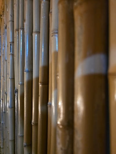 The image displays a close-up, angled view of multiple vertical bamboo poles, presumably forming a wall or fence, located in Villa San Andrés, Argentina. The poles are light tan to yellowish-brown, exhibiting a semi-glossy finish, possibly varnished or wet. Distinct dark nodes are visible along the length of each pole. A light source, likely off-frame to the left, casts vertical reflections on the pole surfaces. The depth of field is shallow, with poles on the far left appearing sharper and those progressively to the right becoming increasingly blurred. No individuals, specific actions, or other identifiable objects are present.