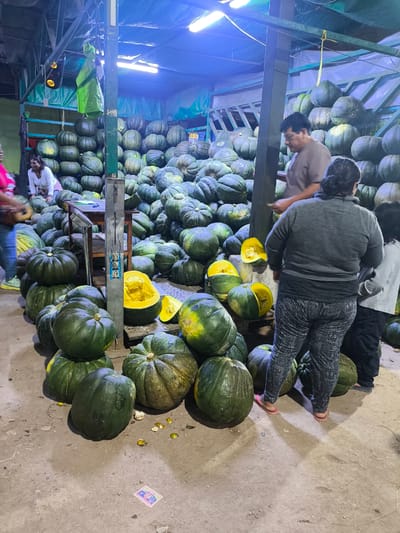 The image shows a bustling scene at a market stall in Trujillo, Peru. The main subject is a large pile of green squash. Some squash are cut open, revealing bright yellow interiors. People are interacting with the squash. A man stands behind the squash, possibly a vendor. A woman in a gray sweater is looking at the squash. A child stands next to her. A woman in white is standing by a table among the squashes. The market stall is under a structure supported by metal poles. Fluorescent lights illuminate the area. A Peruvian currency note rests on the floor near the squashes.