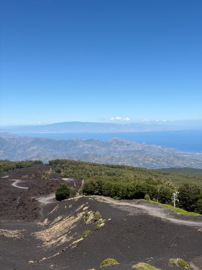 This is a vertical, eye-level, full shot of Mount Etna in Linguaglossa, Italy, on a clear, sunny day. The foreground is dominated by the black, rocky terrain characteristic of volcanic areas, with a dirt road winding its way through the landscape. Sparse, dry vegetation and a few scattered trees dot the slopes.

The middle ground features a dense forest of green trees, with a distinct difference in texture between the dark volcanic rock and the lush foliage. The forest stretches across the frame, creating a natural boundary between the rugged foreground and the distant panorama.

In the background, a hazy blue sea stretches to the horizon, meeting a pale blue sky with a few wispy clouds. Mountainous terrain, appearing muted and distant, frames the sea. The overall impression is one of a natural, undeveloped landscape, showcasing the unique topography of Mount Etna and its surrounding environment. There are no people or animals visible in the image.