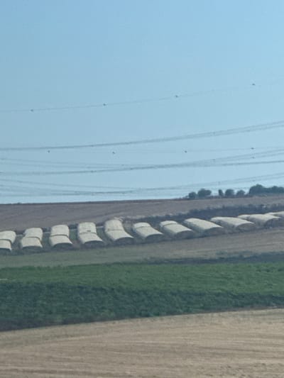 This aerial image shows a field with several rows of hay bales. The bales are cylindrical and wrapped in white plastic, arranged in a line along the edge of a green field. Beyond the green field, there is a strip of tilled land. In the background, several power lines stretch across the frame, with trees visible along the edge of the power line corridor. The sky is a pale blue, suggesting it is daytime with clear weather. The scene appears to be agricultural, likely in a rural setting. No people or text are visible in the image. The overall impression is one of a rural landscape captured from above.