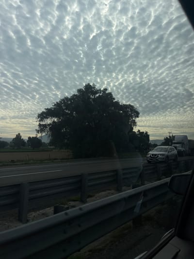The image captures a view from a vehicle traveling on a highway, likely in or near Quecholac, Mexico, judging by the context. The sky is filled with a dense pattern of altocumulus clouds, appearing textured and somewhat rippled. In the mid-ground, a large, dark silhouette of a tree dominates the left side of the frame. Beyond the tree, agricultural fields and distant hills are visible under the overcast sky. The highway itself is in the foreground, with a metal guardrail separating the traffic lanes from the median. On the highway, a white SUV is driving in the adjacent lane, followed by a large white semi-truck. The overall lighting suggests it is daytime, possibly early morning or late afternoon, given the subdued light and cloud cover.