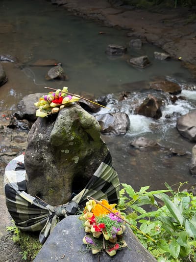 This image depicts a spiritual offering at a riverbank in Gianyar, Indonesia. A large, dark rock, wrapped in a traditional black and white checkered Balinese sarong (kain poleng), stands prominently in the foreground. Atop this rock rests a small, meticulously arranged floral offering in a woven leaf basket, adorned with red, pink, and purple flowers, and a single lit incense stick emitting a thin trail of smoke. Another similar offering is placed on a smaller rock in the lower right corner of the frame, featuring yellow and red flowers. The background is a flowing river with submerged rocks, its water appearing murky and dark. Lush green foliage surrounds the scene, suggesting a natural, possibly sacred, outdoor location. No people are visible in the image.