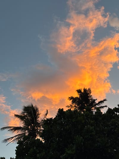 This is a vertical, low-angle shot of a sunset sky over Goviyapana, Sri Lanka. The sky is filled with wispy clouds, some of which are brightly illuminated by the setting sun in shades of orange and yellow. Silhouetted against the vibrant clouds are the dark fronds of a palm tree and the dense foliage of another tree. The overall scene evokes a sense of tropical calm and the beauty of nature at dusk. The lighting suggests it is late afternoon or early evening, with the golden hour casting a warm glow. There are no people or visible text in the image.