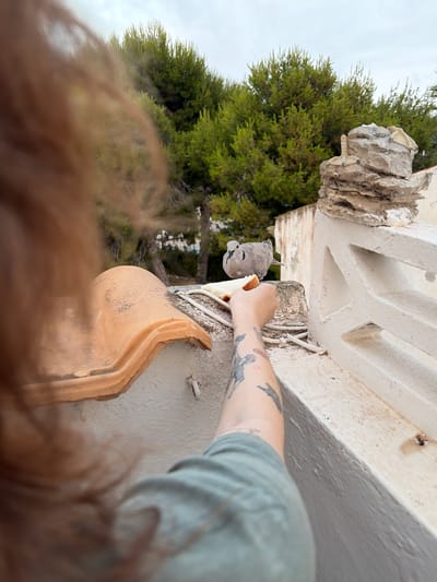 The image depicts a close-up of a person's arm, adorned with tattoos, holding a piece of bread towards a small grey bird. The bird is perched on a ledge, appearing to peck at the bread. The scene is outdoors, with lush green foliage visible in the background, hinting at a natural or park-like setting. The lighting suggests it is daytime, possibly overcast, as there are no strong shadows. The overall composition is angled, giving a dynamic perspective. The foreground is blurred with what appears to be the back of someone's head or hair. The location is identified as Torrevieja, Spain.