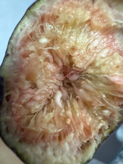 The image is a close-up shot of a fig that has been cut in half, revealing its interior. The fig's flesh is a mix of pink, yellow, and white hues. The cut surface is moist and slightly glistening. The outer skin of the fig is visible along the edges, showing a dark green and purplish-black coloration. There is no indication in the image of any specific location such as Salou, Spain, people or actions.