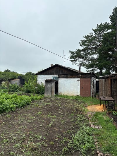 This image captures a rear view of a modest rural property in Tikhovodnoe, Russia, under an overcast sky. The scene features a weathered, single-story house with white-painted lower walls and dark wooden siding on the upper portion and roof. A brown, paneled door is set into the white wall. Adjacent to the house is a small, dilapidated wooden outbuilding with a sloped roof. To the left of the house, a patch of lush green potato plants is visible, bordering a tilled garden bed. Further left, another small, dark wooden shed stands amidst dense green foliage. To the right of the house, a wooden fence encloses a section of the yard, where a table with a circular saw and a pile of sawdust are present. A tall pine tree dominates the background on the right side of the image. A power line stretches diagonally across the sky. The ground is a mix of dark soil, grass, and scattered weeds.