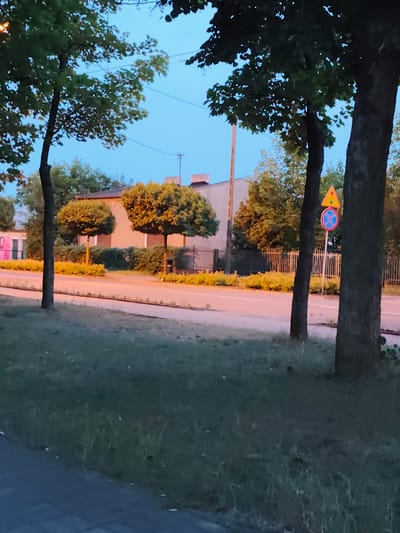 This image depicts an outdoor scene in the city of Stryków, Poland, likely during dusk or dawn due to the low light conditions. In the foreground, a paved walkway is visible, bordered by a strip of grass with some fallen leaves. Several trees are present, with their trunks and foliage dominating the right and left sides of the frame.

Behind the trees, a road runs horizontally across the image. Along the side of the road, a line of manicured, spherical trees stands out, with a hedge behind them. Further in the background, a light-colored building with a darker roof is visible, accompanied by a tall utility pole. A metal fence runs along the property line. On the right side of the road, a traffic sign assembly is mounted on a pole. The top sign is a yellow triangle with a red border, containing three colored circles (red, yellow, and green), possibly indicating a traffic signal ahead or a hazard. Below it is a circular red sign with a blue cross in the center, which typically signifies a "no stopping" or "no parking" zone. The overall impression is a quiet, urban roadside environment.