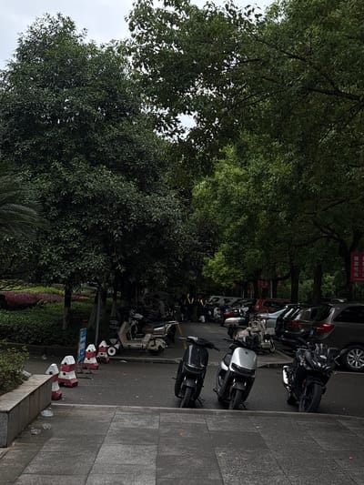 The image depicts a street scene in Nan'an District, China. The street is lined with trees and parked vehicles, including cars and scooters. There are also red and white striped traffic barriers along the edge of the sidewalk. The environment appears to be urban, with a mix of greenery and concrete. There are no people visible in the image.