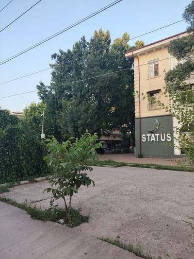 This media file captures an outdoor scene in Chirchik, Uzbekistan, likely during the daytime given the clear sky and shadows. The main subjects are a building with a sign that reads "STATUS" and a large tree. The building appears to be a commercial establishment, with windows and architectural details suggestive of a somewhat older construction. The "STATUS" sign is prominent, featuring a crescent moon logo above the text, rendered in white letters against a dark background.
In front of the building, there is a paved area, possibly a parking lot or courtyard, with some patches of grass and a small sapling growing in the concrete. To the left of the building, a dense wall of green ivy covers another structure or fence, adding a lush, natural element to the urban setting. In the background, more trees are visible, some of which are quite large and leafy, contributing to a green and somewhat shaded atmosphere. Power lines are visible crisscrossing the upper part of the frame.
No people are visible in the image. The overall mood is calm and still, with no discernible activity taking place. The weather appears to be clear and pleasant, characteristic of a temperate climate during a fair-weather day. The location cues like the architectural style and the name "STATUS" might suggest a business district or a commercial area within Chirchik. The image is taken from a slightly low angle, looking up towards the building and the trees.