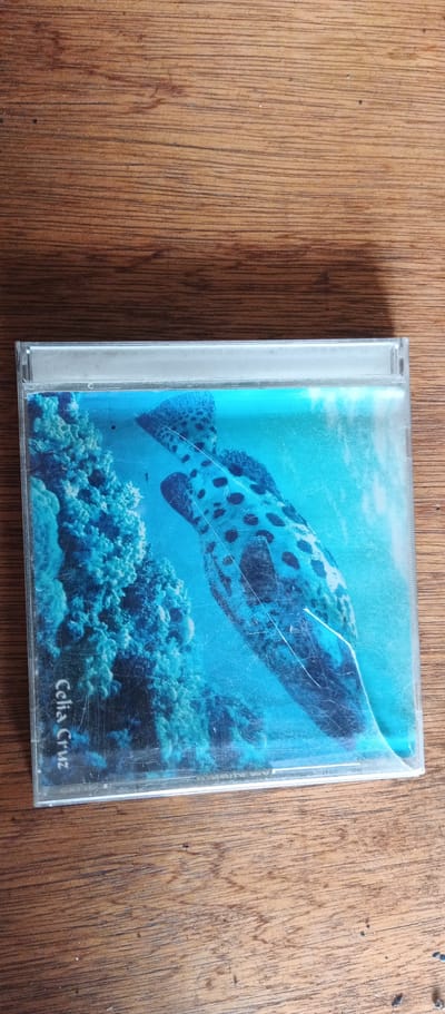 A CD case with a picture of a fish and coral is resting on a wooden surface. The CD case is clear plastic and shows signs of scratching. The image on the CD is a close-up of a large fish with dark spots swimming in blue water, with coral on the left side. The text "Celia Cruz" is visible on the bottom left corner of the CD image. The wooden surface has a prominent grain pattern and appears to be a table or countertop.