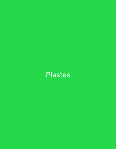 The image is a vibrant, solid green screen with the word "Plastes" written in white, sans-serif text centered horizontally. The text is located slightly below the vertical center of the image. There are no other objects, people, or discernible scenes in the image. The lighting is uniform, suggesting an artificial light source or an evenly lit environment. The image appears to be a digital graphic or a screenshot with overlaid text. The text "Plastes" is the sole prominent feature.