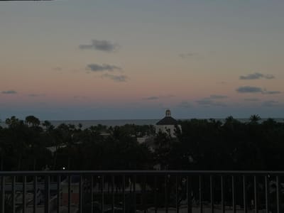 A tranquil dusk view from a balcony. A metal railing is in the foreground. Beyond, a dense layer of trees stretches to the horizon. A domed building is nestled among the trees. The sea is a faint line separating the trees from the sky. The sky transitions from a dusky purple at the horizon to a light gray at the top, dotted with scattered clouds.
