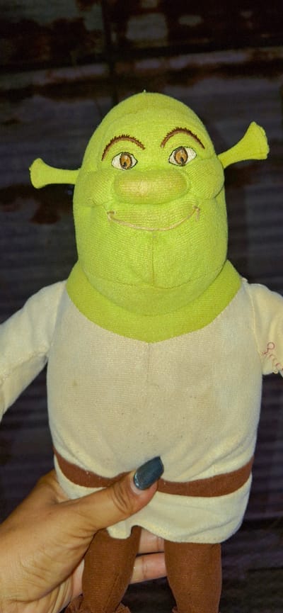 A close-up, vertical shot shows a plush toy of the character Shrek. The toy is primarily green with a light beige tunic and brown pants. It has embroidered brown eyebrows, orange eyes, and a wide, stitched smile. A hand with dark nail polish is holding the toy by the lower torso. The background is blurred and appears to be a dark, textured surface, possibly wood. The scene is indoors and the lighting is moderate. The image does not depict any recognizable landmarks or features of Vallecito, Venezuela.