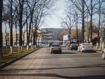 This image captures a street scene in Shymkent, Kazakhstan, likely during autumn due to the bare trees lining the road. The road is paved with tram tracks visible. Several cars are driving or parked on the street. On the left side of the road, there is a sidewalk bordered by a grassy area and a line of trees. Beyond the sidewalk, a multi-story building with balconies is visible. On the right side of the road, more trees and buildings are present, along with a traffic sign and advertisements. The sky is overcast.