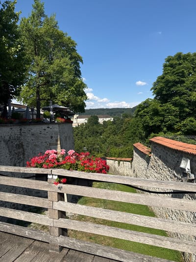 A wooden railing overlooks a serene outdoor scene under a clear blue sky. To the left, lush green trees with dense foliage dominate the foreground, with their branches reaching towards the sky. In the background, a hillside covered in trees slopes down, revealing a few white buildings nestled amongst the greenery. The sky is bright with a few scattered white clouds.
The railing is made of weathered wooden planks, laid out in a parallel fashion. Next to the railing, a patch of vibrant red flowers adds a splash of color to the scene. Behind the flowers, a stone wall, possibly part of an old structure, runs along the landscape. On top of this wall, another section of red-tiled roofing is visible, and a metal floodlight is mounted on the wall.
Further into the background, a row of outdoor tables with umbrellas suggests a restaurant or cafe setting. The overall atmosphere is peaceful and tranquil, evoking a sense of a pleasant day in a picturesque location. The time of day appears to be daytime, with bright sunlight casting shadows. The location is Nohl, Switzerland, and the clear sky and vibrant greenery indicate good weather. There is no visible text in the image.